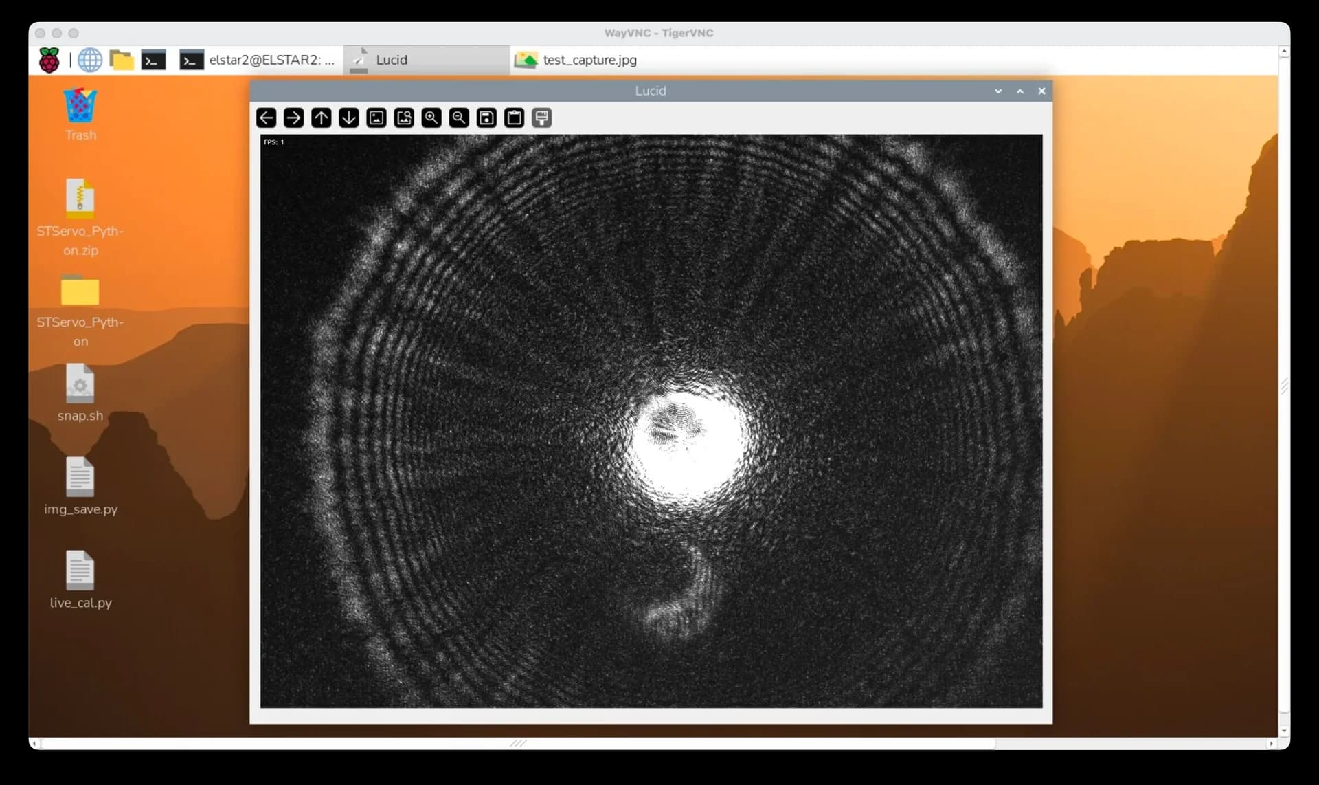 Captured bacterial scatter pattern from the CMOS sensor