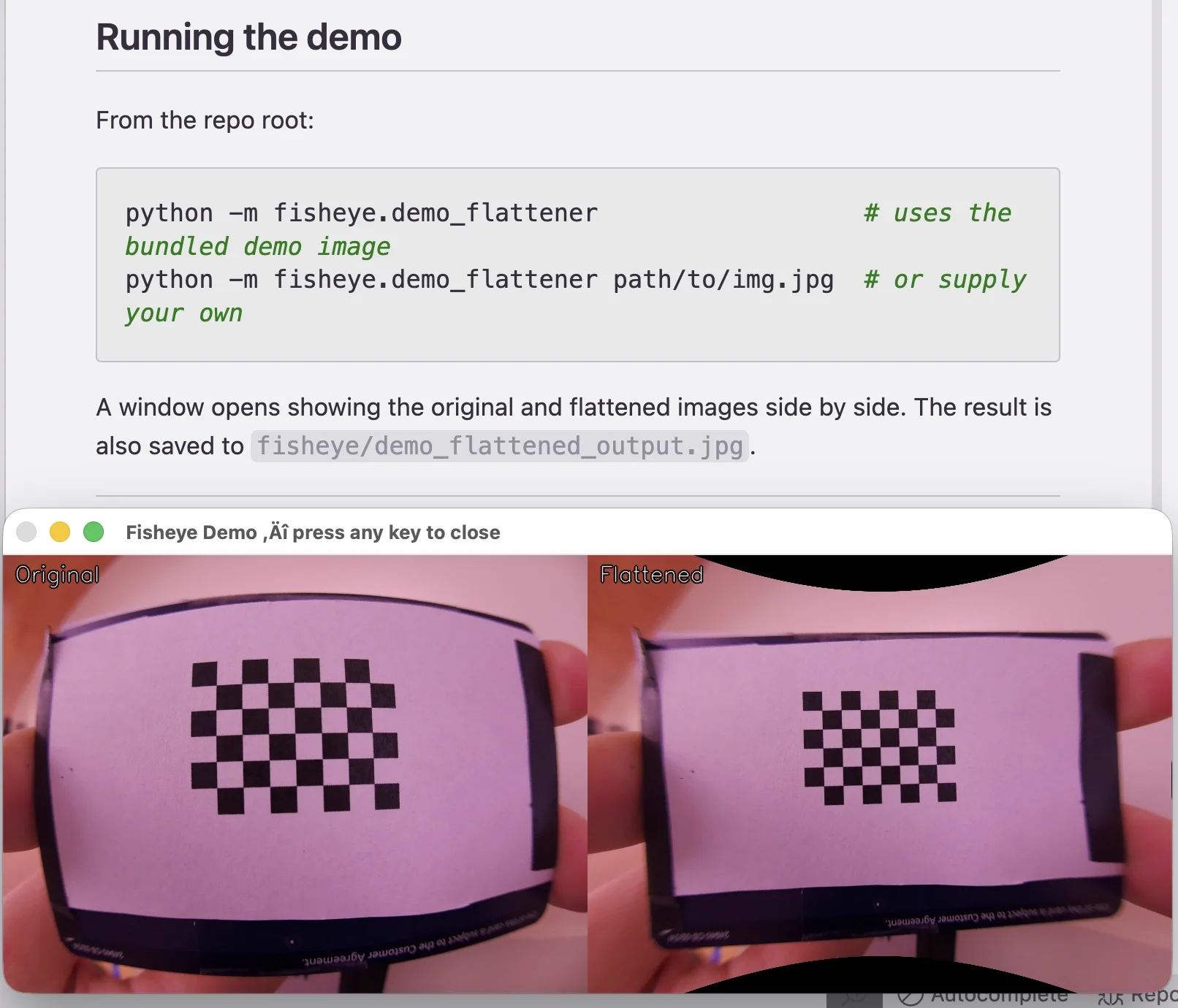 Demonstration of the image flattening pipeline correcting lens distortion