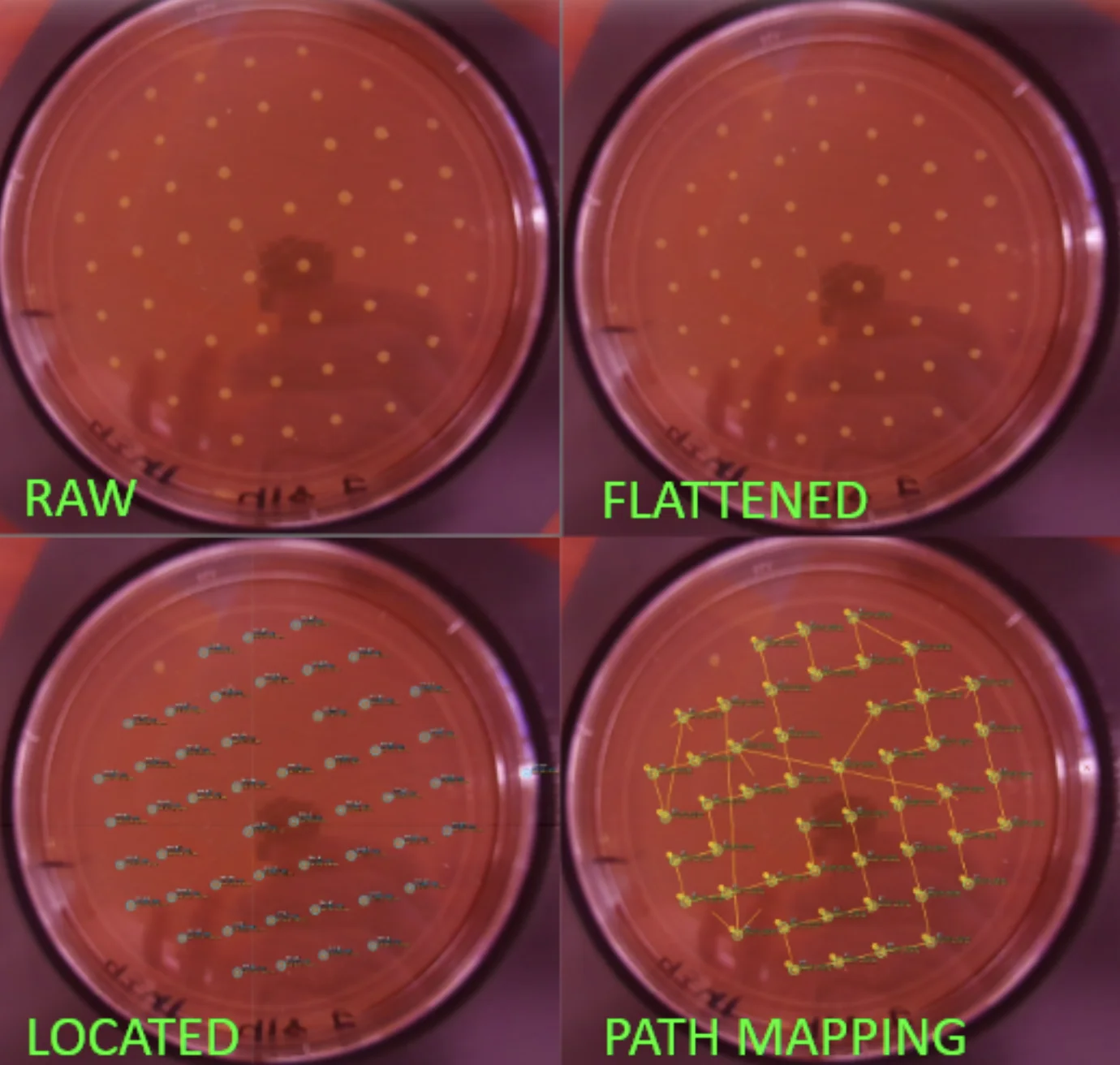 The full image processing workflow from capture to coordinate extraction