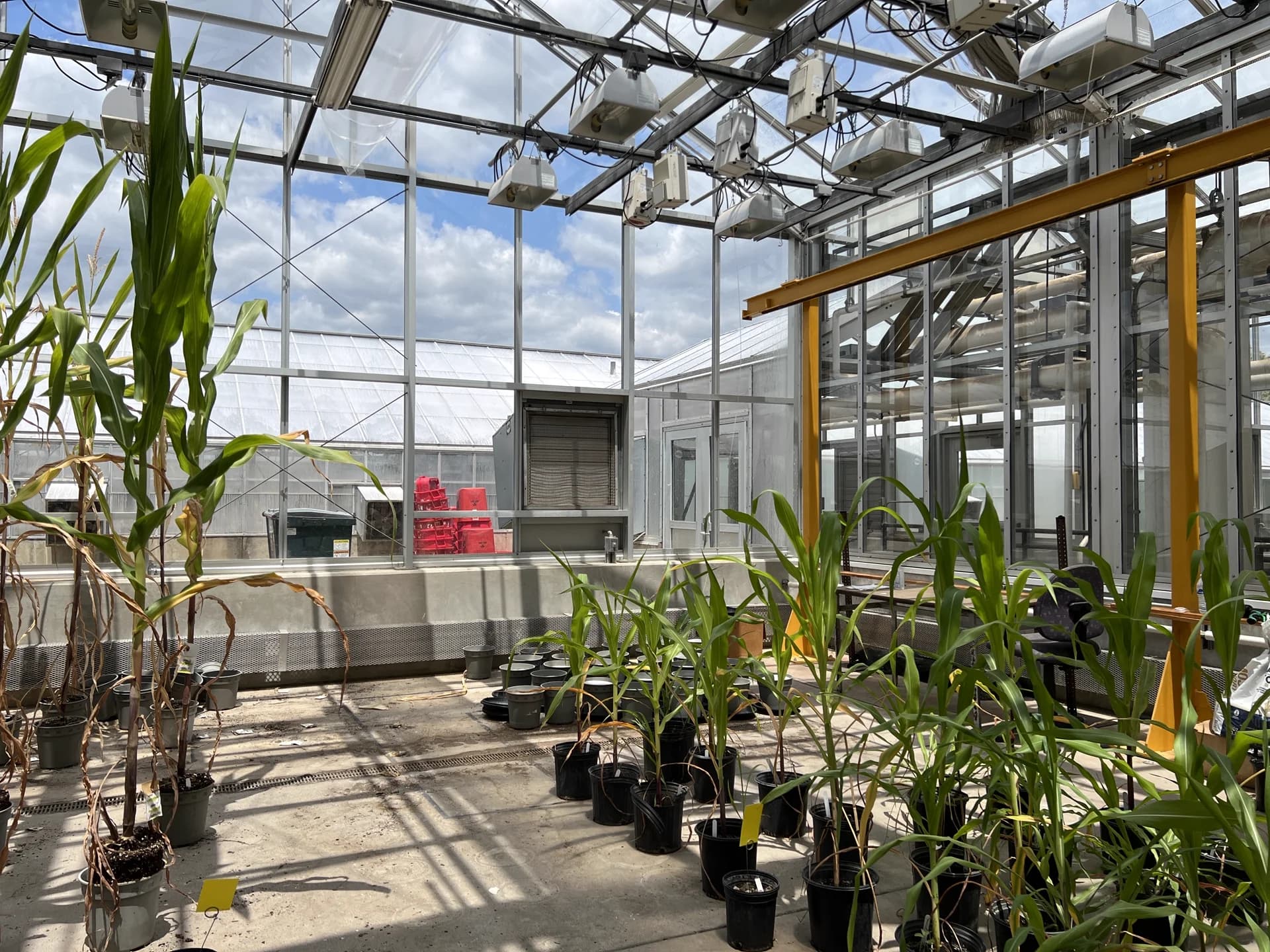 The controlled greenhouse environment where we tested our robotic systems